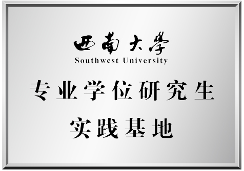 证书4